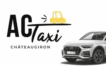 chauffeur privé à Janzé - image 2